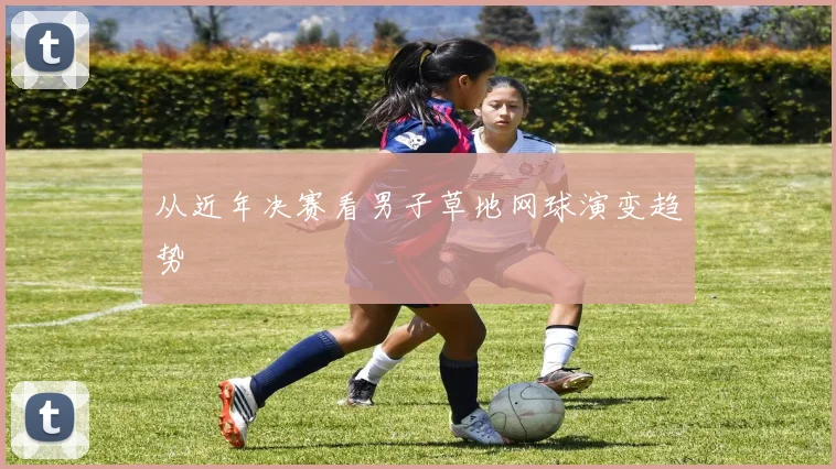 从近年决赛看男子草地网球演变趋势