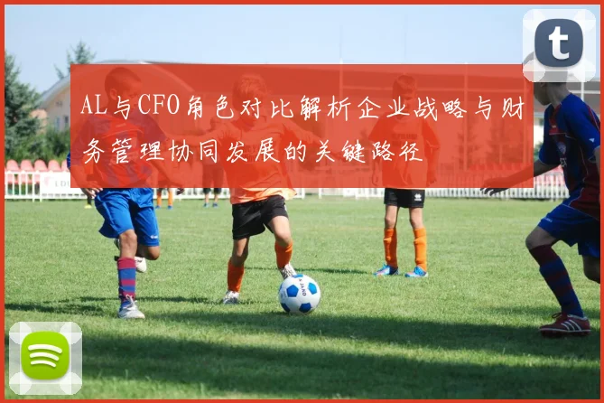 AL与CFO角色对比解析企业战略与财务管理协同发展的关键路径
