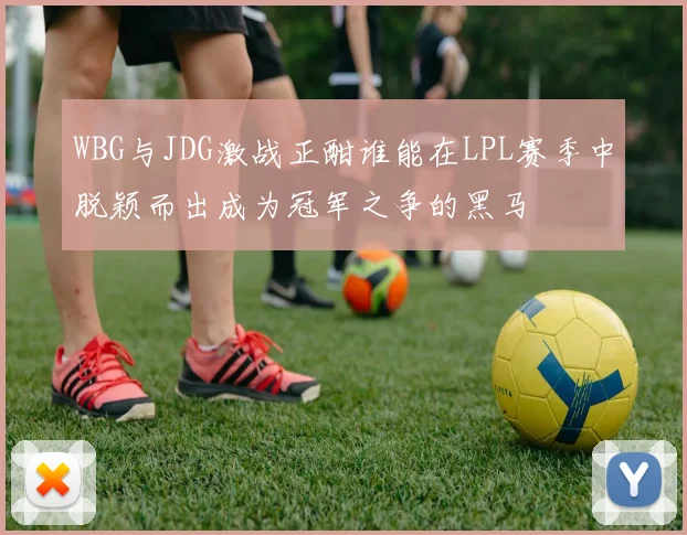 WBG与JDG激战正酣谁能在LPL赛季中脱颖而出成为冠军之争的黑马