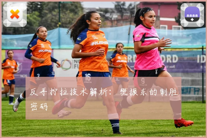 反手拧拉技术解析：樊振东的制胜密码