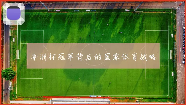 非洲杯冠军背后的国家体育战略