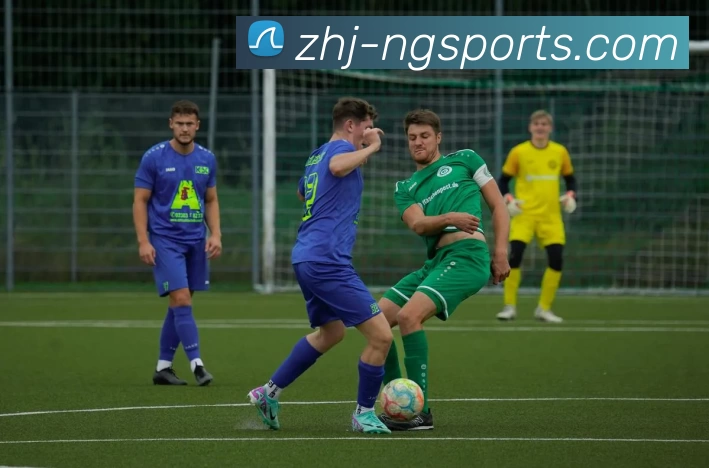 多媒体互动体验