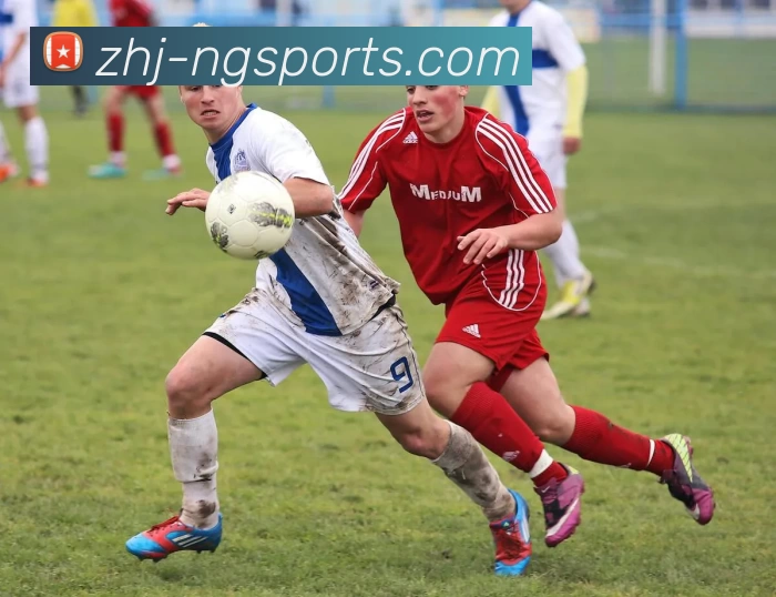 ng体育APP 高清赛事图